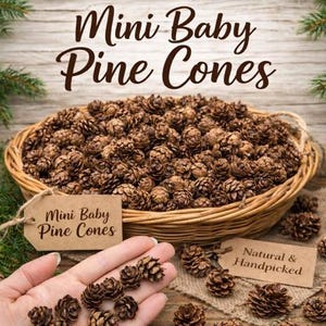 Mini Baby Pinecones, Small Natural Tiny Pine Cones for Simmer Pots, Ritual Decor, Grounding Earth Elements, Rustic Crafts