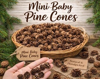 Mini Baby Pinecones, Small Natural Tiny Pine Cones for Simmer Pots, Ritual Decor, Grounding Earth Elements, Rustic Crafts