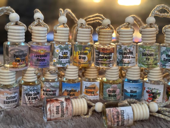 Hanging Car Diffuser: Scented Car Fragrance, Essential Oils