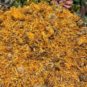 May include: Close-up of dried calendula petals, showcasing a vibrant orange hue. The petals are finely shredded, creating a textured appearance. The background features a mix of green and purple succulents, adding contrast to the warm tones of the petals.