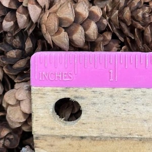 May include: Close-up of brown pine cones with a pink ruler showing inches. The ruler is made of wood and plastic, with the word "INCHES" printed on it. The ruler measures 1 inch.