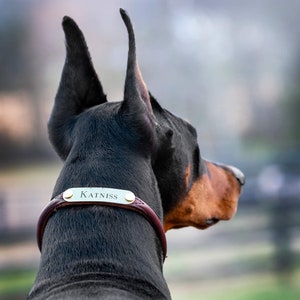 Personalized Rolled Leather Dog Collar with One Brass Tag immagine 2