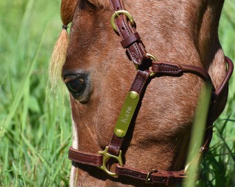 Licol miniature et poney en cuir avec une étiquette en laiton (# BH525)