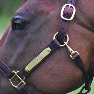 Personalized Leather Horse Halter with One Brass Tag image 1