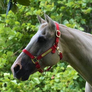 Nylon Horse Halter with Two Brass Tag (#BH750)
