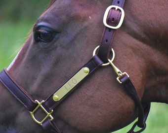 Personalized Leather Horse Halter with One Brass Tag