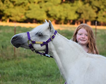 Miniature/Pony Nylon Halter with Two Brass Tags (#BH250)