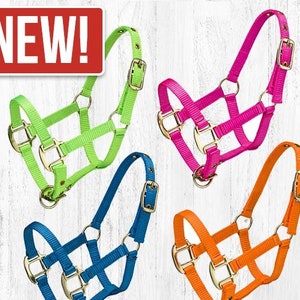 Personalized Mini and Pony Nylon Halter with Matching Lead in Neon Colors image 2