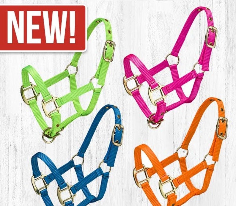 Personalized Mini and Pony Nylon Halter with Matching Lead in Neon Colors image 2