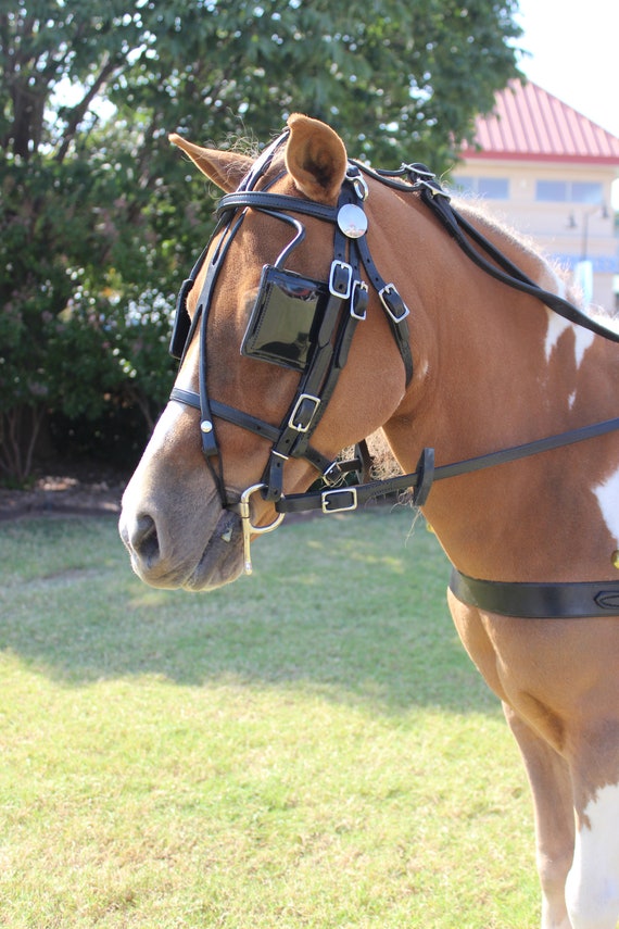 Harnais De Conduite Cuir - Pour Mini Cheval Ou Petit Poney - Neuf