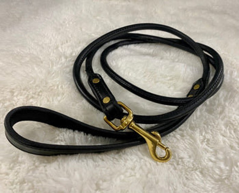 Rolled Leather Dog Leash image 1