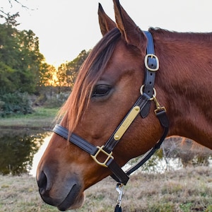 Personalized Premium Leather Horse Halter