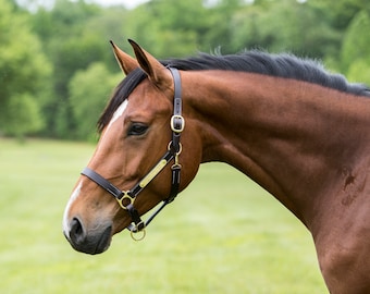 Personalized Economy Brown Leather Horse Halter with one tag