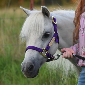 Miniature & Pony Nylon Halter with One Brass Tag BH225 image 6