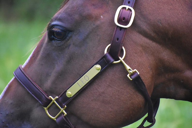 Personalized Leather Horse Halter with One Brass Tag image 1