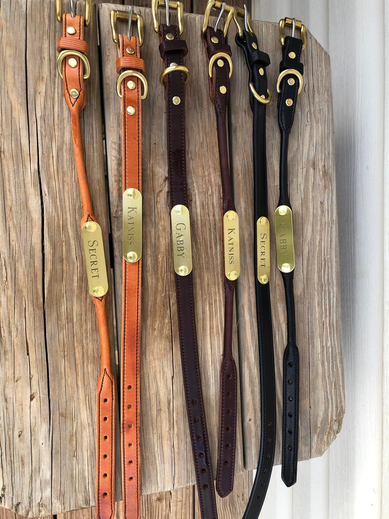 Personalized Rolled Leather Dog Collar with One Brass Tag immagine 3