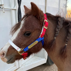 Miniature & Pony Nylon Halter with One Brass Tag BH225 image 8