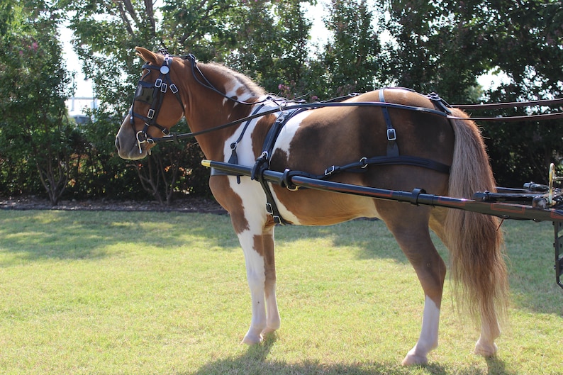 Leather Miniature & Pony Driving Harness Made in the USA by Mose Miller image 3