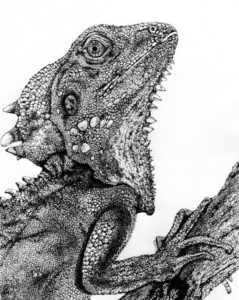 Now You See Me Original Artwork - Etsy