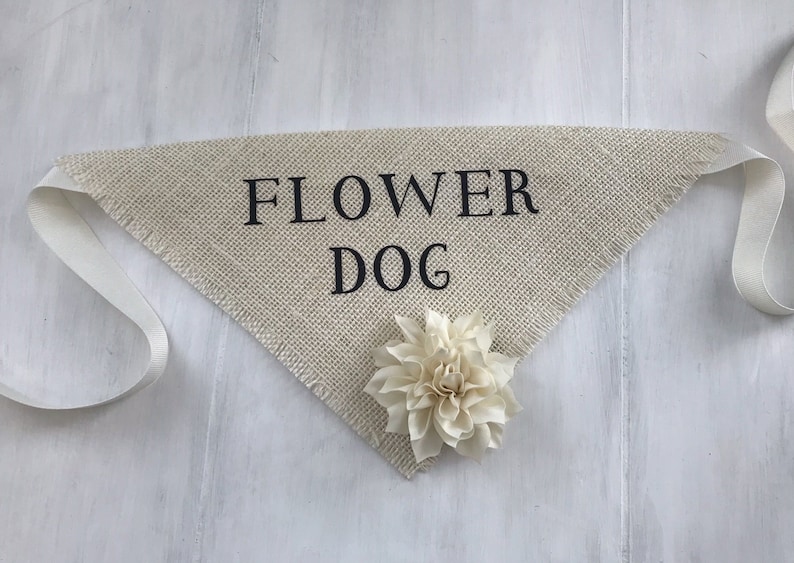 Flower Dog Pet Wedding Bandana Engagement Photos Save the Date Cards Collar Girl Flowers Fabric Roses Proposal