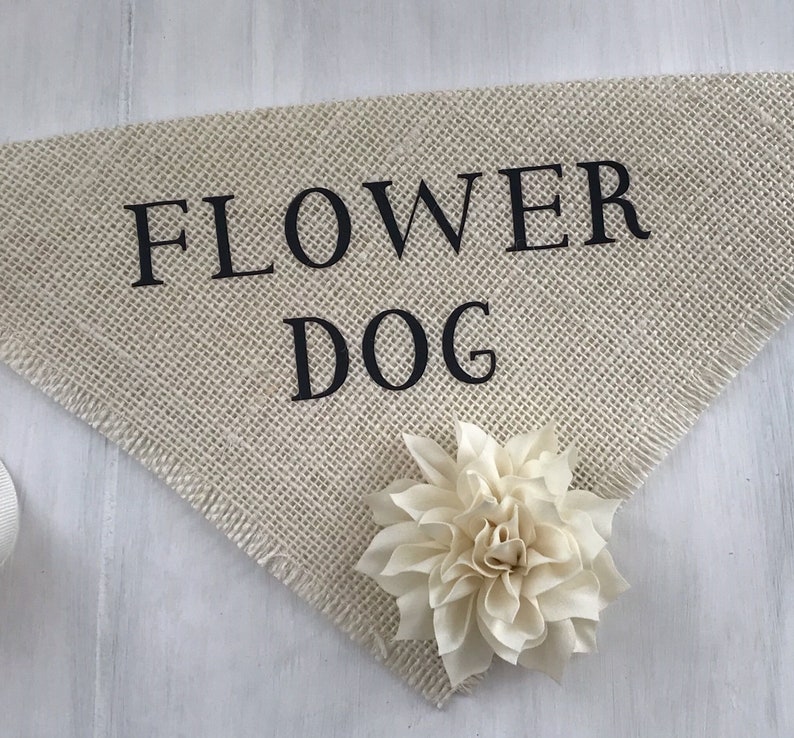 Flower Dog Pet Wedding Bandana Engagement Photos Save the Date Cards Collar Girl Flowers Fabric Roses Proposal