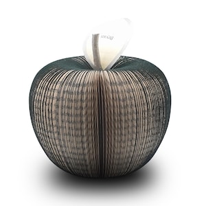 May include: A decorative apple sculpture crafted from folded book pages with dark green edges. The pages feature visible printed text throughout. A single light-colored leaf extends from the top, displaying the name Bryan in black text.
