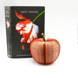 Personalized Twilight Apple Red Apple Handmade from Twilight Book Book Art Apple Paper Fruit image 9