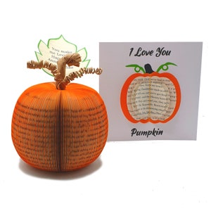 Pumpkin Personalised Fall Gift Autumn Wedding Gift Autumn Decor Paper Anniversary Gift Autumn Fall Wedding Favours Thanks giving image 8