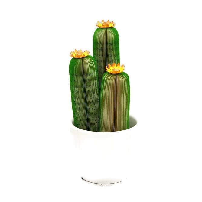 Funny Office Decoration Studio School for Office Funny Cactus Wooden Ruler 