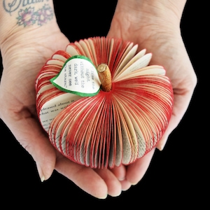 Personalized Twilight Apple Red Apple Handmade from Twilight Book Book Art Apple Paper Fruit image 3