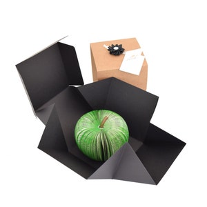 May include: A green apple-shaped book is inside a black box with a brown box on top. The brown box has a black bow and a white tag with text.