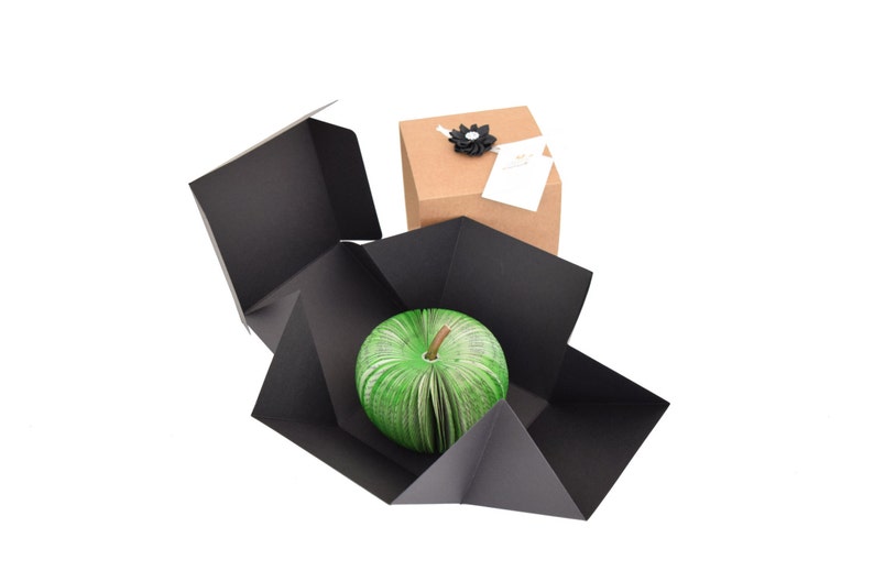 May include: A green apple-shaped book is inside a black box with a brown box on top. The brown box has a black bow and a white tag with text.