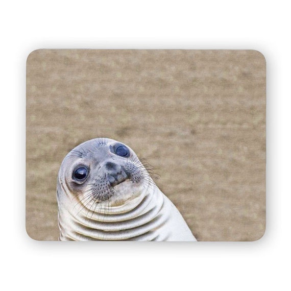 Awkward seal funny desk mouse pad meme mouse pad comptuer Etsy