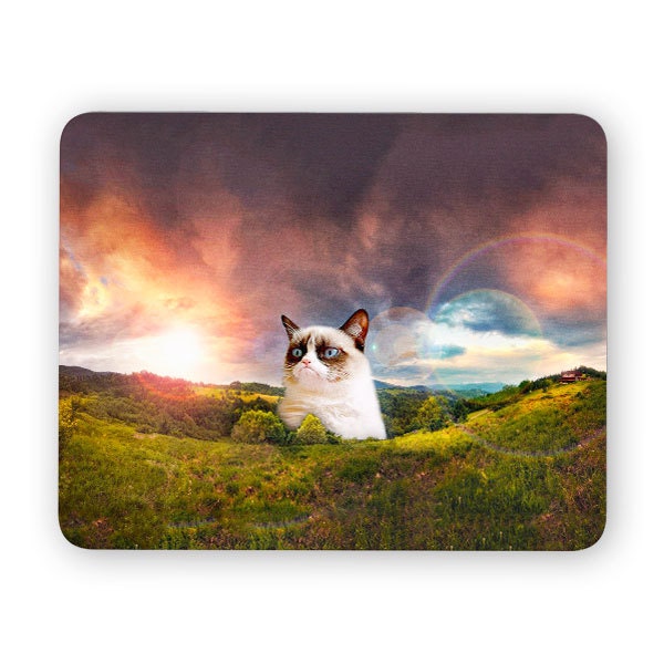 Grumpy cat funny desk mouse pad meme mouse pad comptuer Etsy