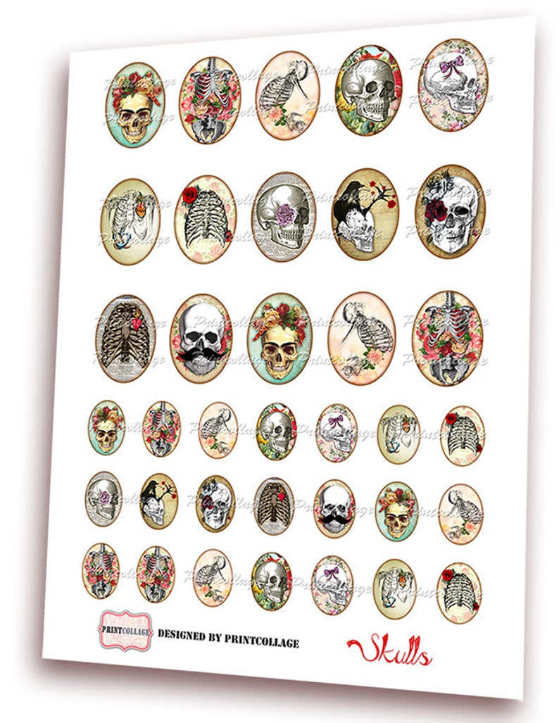 Cabochon Oval images Anatomy skulls 4 Size 30x40 mm Digital Printable Sheet Cabochon images Printables for pendants Instant download O77 image 2