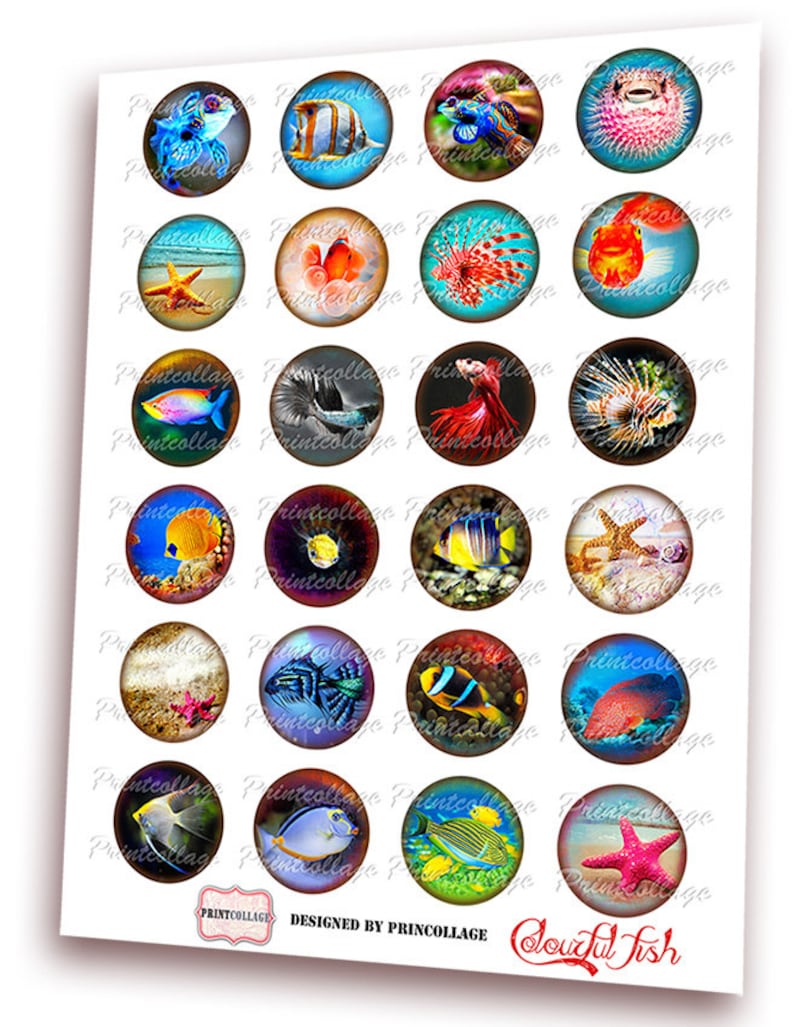 Marine Life Digital Printable Sheet Cabochon images 1.5 inch 1 inch 16,12 mm round images Printable images for pendant Instant download C87