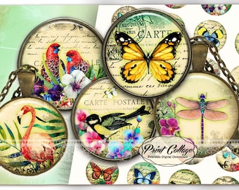 Butterfly, Flamingo, Dragonfly, Exotic Animals Digital Collage Sheet 1.5 inch 16mm 12mm 1 inch Bottle Cap images printable download c225