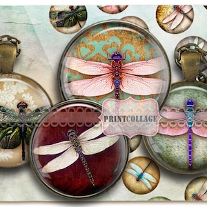 Digital Collage Sheet Printable images for Bottle Cap 1.5 inch 18mm 14mm 1 inch circle Cabochon images Instant download Dragonfly images C91