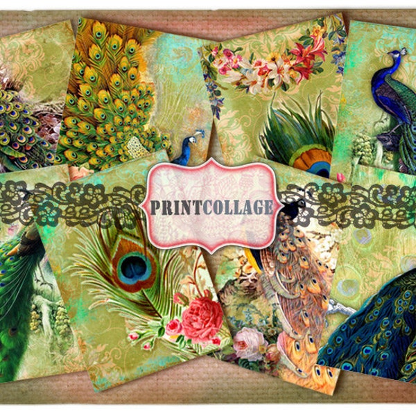 Digital Collage Sheet Designed Gift Tags and Cards for Scrapbooking Printable Vintage Paper for Jewelry Holders Tags PEACOCKS T26