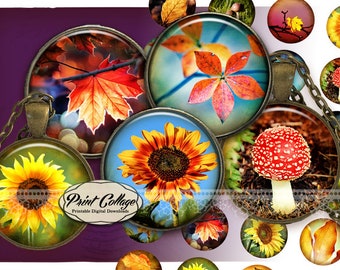 Sunflower colorful Leaves Digital round Printable's Cabochon images 1.5 inch 1 inch 16,12 mm for pendants Instant download c257