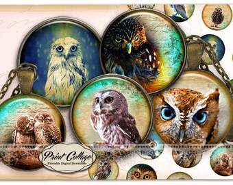 Owls - Digital Collage Sheet Cabochon images 1.5 inch 16 mm 12 mm 1 inch circle Printable images Instant download bottle caps C244