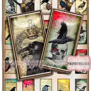 Raven Bird Animal images Digital collage sheet 1x2 inch domino pendants printable images jewelry backgrounds d45