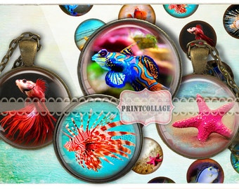 Marine Life Digital Printable Sheet Cabochon images 1.5 inch 1 inch 20mm,12 mm round images Printable images for pendant Instant download