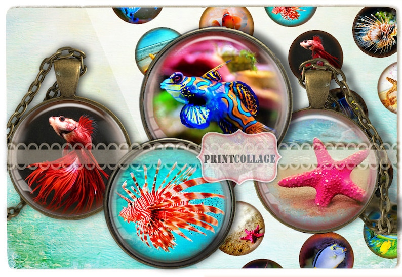Marine Life Digital Printable Sheet Cabochon images 1.5 inch 1 inch 16,12 mm round images Printable images for pendant Instant download C87