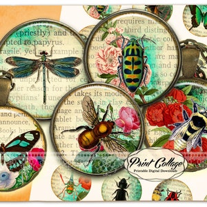Insects, Animal Cabochon images, Digital Download, Digital Collage Images, 1.5 inch, 16 mm 12 mm 1 inch Bottle Cap, printable download c232