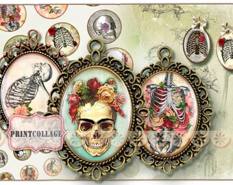 Cabochon Oval images Anatomy skulls 4 Size 30x40 mm Digital Printable Sheet Cabochon images Printables for pendants Instant download O77