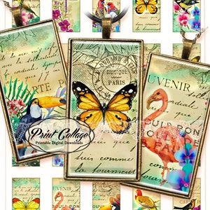 Domino pendants, Exotic Animals Digital Collage Sheet 1x2 inch Printable for glass resin magnets bezel settings photo charms trays c225