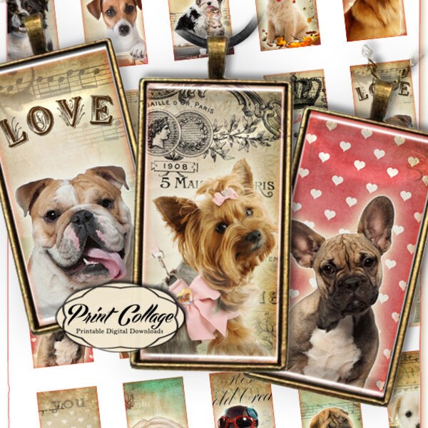 Dog, Pet Domino pendants Digital Collage Sheet 1x2 inch Printable for glass resin magnets bezel settings photo charms trays c256