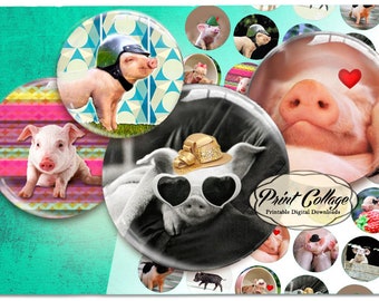 Schweinchen Buttons, Cabochon Buttons, Quadrate Buttons, Kreise, digitale Druckvorlage für Knopfdruckknopf 3,3 cm 3,5 cm b62
