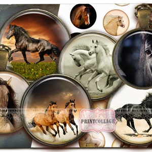 Horse Animal images Digital Collage Sheet Cabochon images 1.5 inch 18mm 14mm 1inch circle Printable images Instant download bottle caps c157 image 1